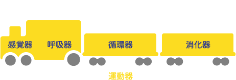 NPO法人 全国ストップ・ザ・ロコモ協議会
